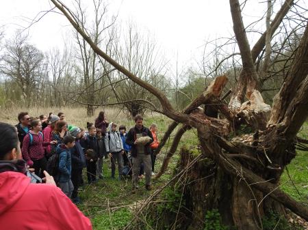 7. april, mednarodni dan bobra in Dan za spremembe 15
